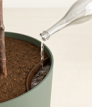 Load image into Gallery viewer, Sage Green
