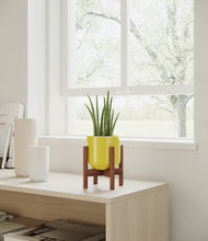 Load image into Gallery viewer, Key Lime Yellow stand:walnut
