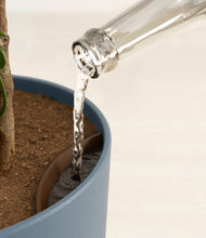 Load image into Gallery viewer, Iron Gray stand:all
