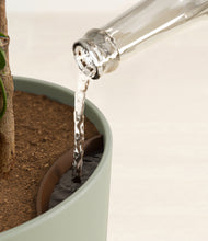 Load image into Gallery viewer, Sage Green stand:all
