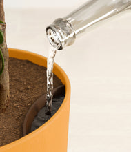 Load image into Gallery viewer, Sunset Orange stand:all
