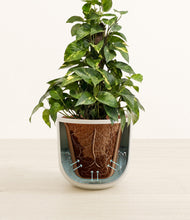 Load image into Gallery viewer, Natural Bamboo stand:all
