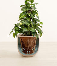Load image into Gallery viewer, Sandy Pink stand:all
