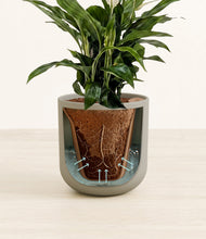 Load image into Gallery viewer, Sage Green stand:all
