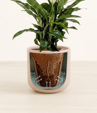 Load image into Gallery viewer, Sandy Pink stand:all
