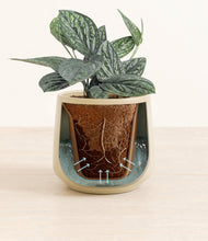 Load image into Gallery viewer, Almond Green stand:all
