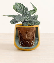 Load image into Gallery viewer, Mustard stand:all

