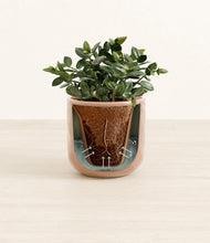 Load image into Gallery viewer, Hammered Peach Pink stand:all
