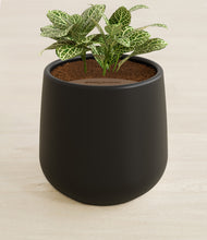 Load image into Gallery viewer, Black stand:all
