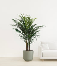 Load image into Gallery viewer, Sage Green
