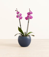 Load image into Gallery viewer, Deep Navy*****Profile
