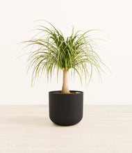 Load image into Gallery viewer, Stone Black*****Profile
