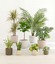 Load image into Gallery viewer, Woodland*****Profile
