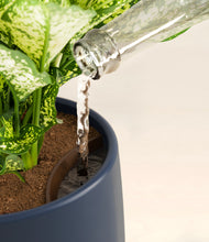 Load image into Gallery viewer, Deep Navy stand:all
