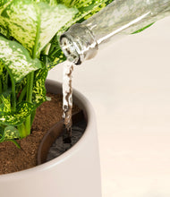 Load image into Gallery viewer, Eternal Gray stand:all
