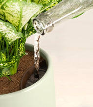 Load image into Gallery viewer, Turquoise stand:all
