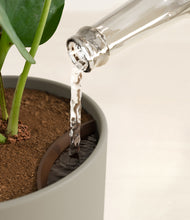 Load image into Gallery viewer, Sage Green stand:all
