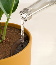 Load image into Gallery viewer, Sunset Orange stand:all
