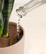 Load image into Gallery viewer, Sandy Pink stand:all
