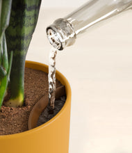 Load image into Gallery viewer, Sunset Orange stand:all
