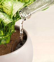 Load image into Gallery viewer, Winter Clouds stand:all
