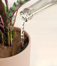 Load image into Gallery viewer, Sandy Pink stand:all
