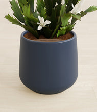 Load image into Gallery viewer, Deep Navy stand:all
