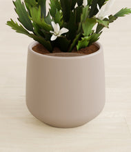 Load image into Gallery viewer, Eternal Gray stand:all
