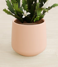 Load image into Gallery viewer, Gentle Pink stand:all
