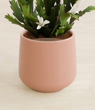 Load image into Gallery viewer, Calm Rose stand:all
