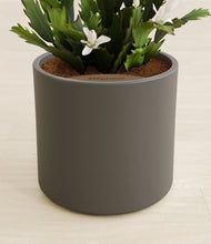 Load image into Gallery viewer, Dark Olive stand:all
