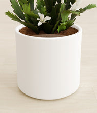 Load image into Gallery viewer, White stand:all
