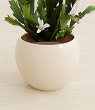 Load image into Gallery viewer, Shiny EggWhite stand:all
