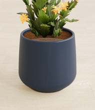 Load image into Gallery viewer, Deep Navy stand:all
