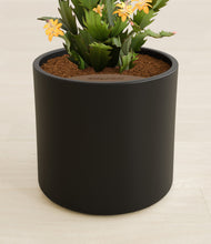 Load image into Gallery viewer, -Black stand:all
