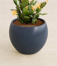 Load image into Gallery viewer, -Deep Navy stand:all
