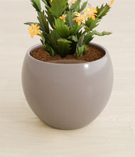 Load image into Gallery viewer, -Winter Clouds stand:all
