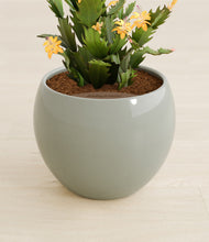 Load image into Gallery viewer, -Deep Ocean stand:all
