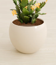 Load image into Gallery viewer, -Shiny EggWhite stand:all
