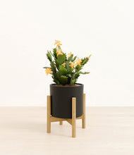 Load image into Gallery viewer, -Black stand:bamboo
