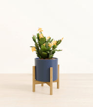 Load image into Gallery viewer, -Deep Navy stand:bamboo

