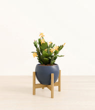 Load image into Gallery viewer, -Deep Navy stand:bamboo
