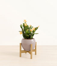 Load image into Gallery viewer, -Winter Clouds stand:bamboo
