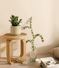 Load image into Gallery viewer, Almond Green
