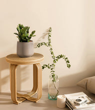 Load image into Gallery viewer, Eternal Gray
