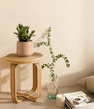 Load image into Gallery viewer, -
