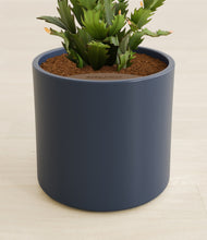 Load image into Gallery viewer, Deep Navy stand:all
