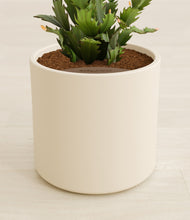 Load image into Gallery viewer, Cream stand:all
