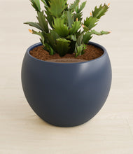 Load image into Gallery viewer, Deep Navy stand:all
