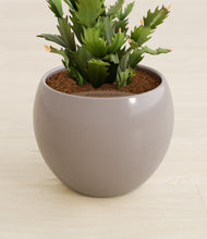 Load image into Gallery viewer, Winter Clouds stand:all
